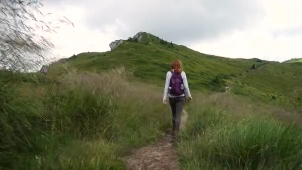 Menina Caminhante Caminhando Pelo Caminho Nas Montanhas — Vídeo de Stock