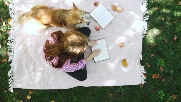 Κορίτσι Την Κόργκι Dog Αναπαύεται Στο Πάρκο Διαβάζοντας Ένα Βιβλίο — Αρχείο Βίντεο