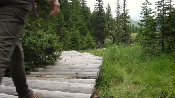 Dziewczyna Turysta Chodzenie Przez Drewnianą Ścieżkę Chodnik Dziennik Sosnowym Lesie — Wideo stockowe