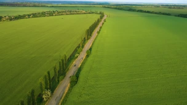 Letecký Pohled Raně Letní Zelená Pole Silnice Procházející — Stock video