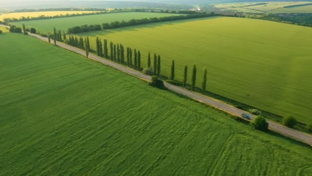 Letecký Pohled Raně Letní Zelená Pole Silnice Procházející — Stock video