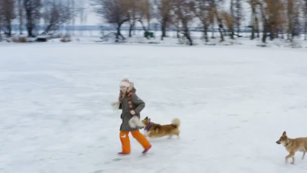 Девочка Играет Двумя Собаками Заснеженной Замерзшей Реке — стоковое видео