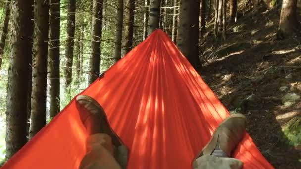 Benen Van Mens Liggend Hangmat Tussen Dennenbomen Het Ochtend Bos — Stockvideo