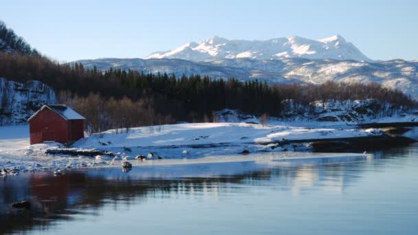 Inverno Lofoten Praia Dia Ensolarado Norte Noruega — Vídeo de Stock