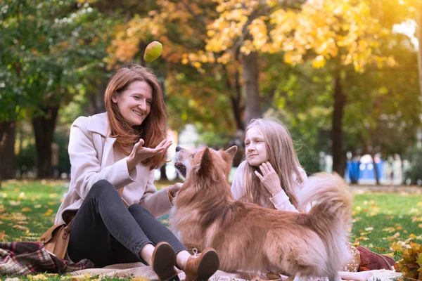 Hund in der Familie — Stockfoto