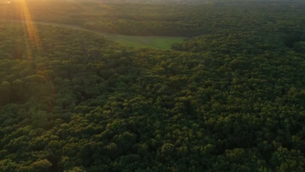 Повітряний Вид Красивий Ліс Річкою Озерами — стокове відео