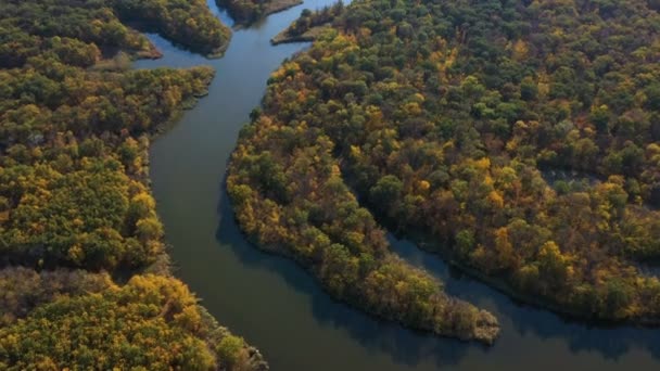 Outono Floresta Lago Vista Aérea Noite Com Vigas Pôr Sol — Vídeo de Stock