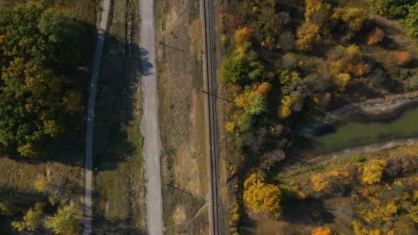 Železnice Podzimním Lesem Době Západu Slunce — Stock video