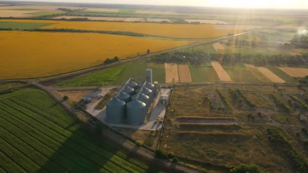 Moderno Elevador Silos Grano Campo Los Girasoles Flor Vista Aérea — Vídeos de Stock