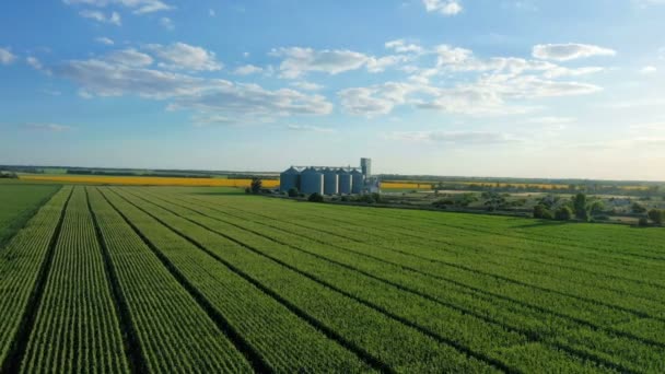 Elevador Silos Grão Moderno Campo Florescer Girassóis Vista Aérea — Vídeo de Stock