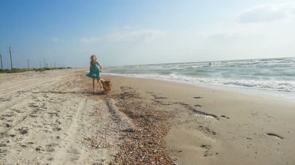 Child Girl Fluffy Corgi Dog Sea Shore Big Stormy Waves — Stock Video