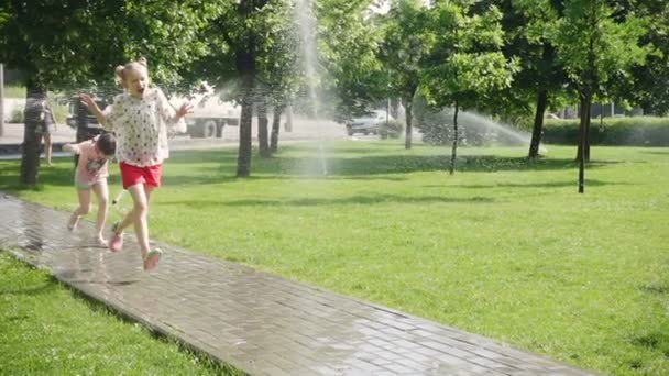 Meninas Brincando Com Cão Gramado Parque Com Aspersores Derramando — Vídeo de Stock