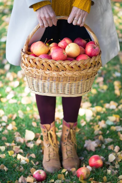 Das Mädchen Hält Einen Korb Mit Saftigen Äpfeln Der Garde — Stockfoto