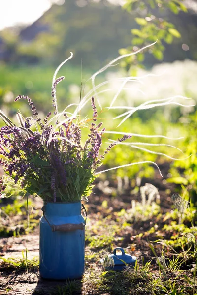 Stilleben Mjölkkärna Med Vilda Blommor Salvia Trädgården Atmosfär Och — Stockfoto