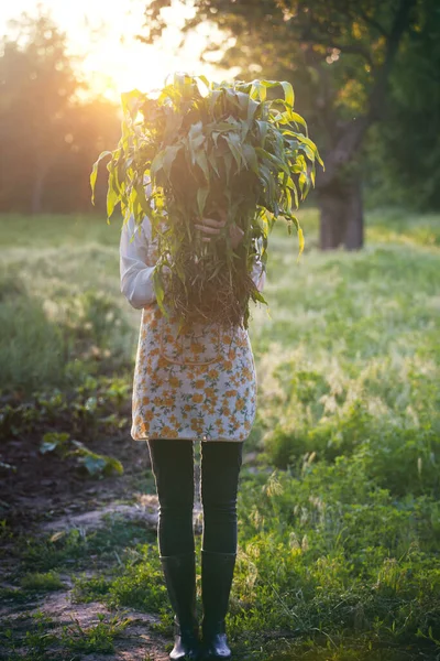 Stillleben Mädchen Dorf Arbeitet Garten Mädchen Hält Mais Und Gartengeräte — Stockfoto