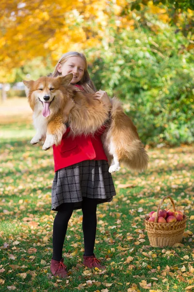 Kleines Mädchen Mit Einem Flauschigen Corgi Auf Dem Arm Fal — Stockfoto