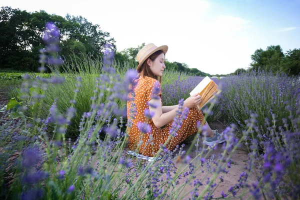 Provence Dívka Čte Knihu Levandulovém Poli — Stock fotografie