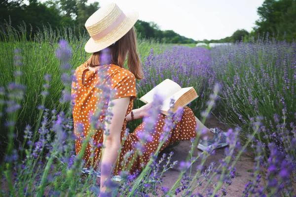 Provence Girl Reading Book Lavender Field — Stock Photo, Image