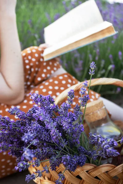 Provenza Niña Leyendo Libro Campo Lavanda Cesta Con Lavanda Frente — Foto de Stock