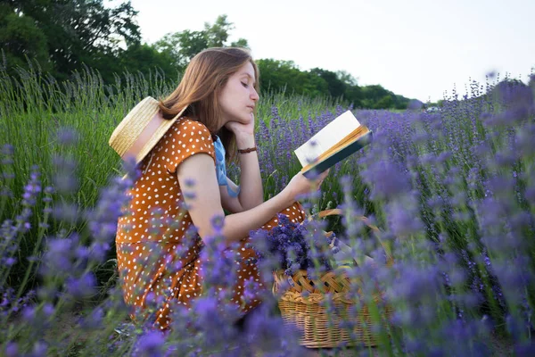 Προβηγκία Κορίτσι Που Διαβάζει Ένα Βιβλίο Ένα Πεδίο Λεβάντα Και — Φωτογραφία Αρχείου