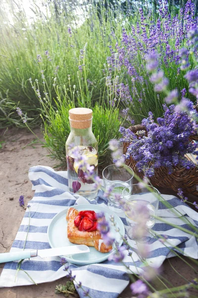 Picknick Lavendelfeld Limonade Mit Zitrone Und Basilikum Ein Brötchen Mit — Stockfoto