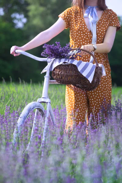 Provence Dívka Retro Bicyklem Košíkem Levandule Levandulovém Poli Frank — Stock fotografie