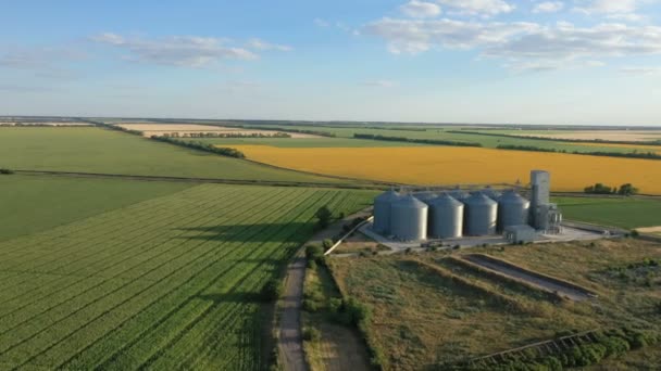 Moderno Elevador Silos Grano Campo Los Girasoles Flor Vista Aérea — Vídeos de Stock