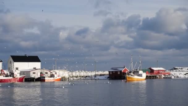 Krásná Norská Zimní Krajina Pestrobarevným Rorbu Zakotvených Rybářských Lodí Zátoce — Stock video