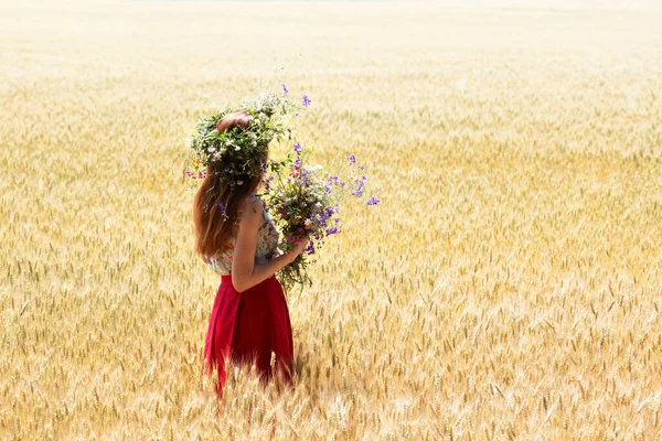 Девушка Венке Полевых Цветов Пшенице — стоковое фото