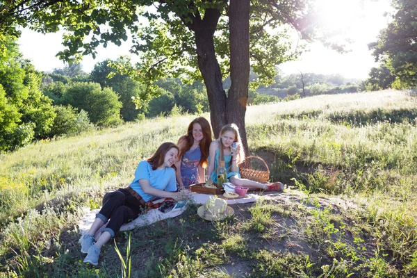 Verano Familia Picnic Prado Los Frentes — Foto de Stock