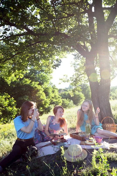 Sommer Familie Beim Picknick Auf Einer Wiese Wald — Stockfoto