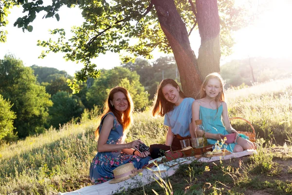 Summer Family Picnic Meadow Fores — Stock Photo, Image