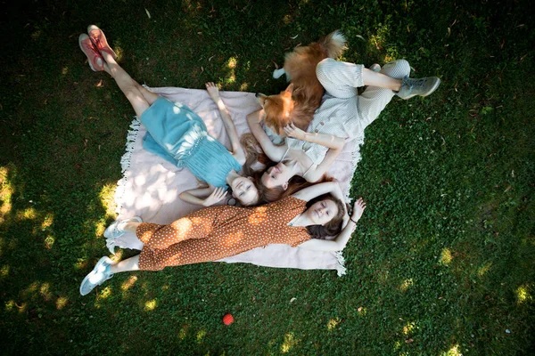 Bright Fun Autumn Girl Dog Corgi Lie Plaid Lawn Read — Stock Photo, Image