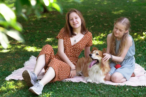 家族の中の犬 美しいコーギーふわふわ緑の芝生の上で女の子と — ストック写真