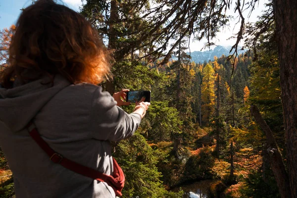 Rauris Urwald Yolundaki Güzel Güneşli Ormanda Yeşil Bataklık Hohe Tauern — Stok fotoğraf