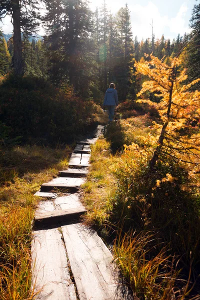 歩道の美しい日当たりの良い森の木道と緑の沼の少女Rauris Urwald Virgin Forest Hotauern Nature Park Austri — ストック写真