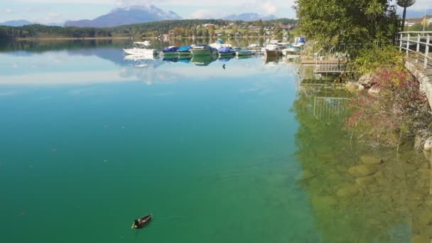 Vista Otoño Del Lago Austriaco Faakersee Desde Mirador Soleado Día — Vídeos de Stock
