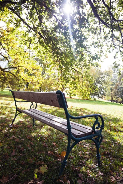 Panca Accogliente Giardino Sotto Albero Una Legge Verde — Foto Stock