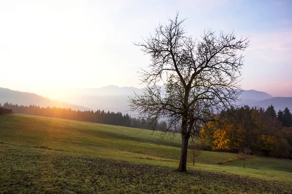 Beautiful Mountain Landscape Austrian Mountains Mountains Silhouettes Morning — Stock Photo, Image