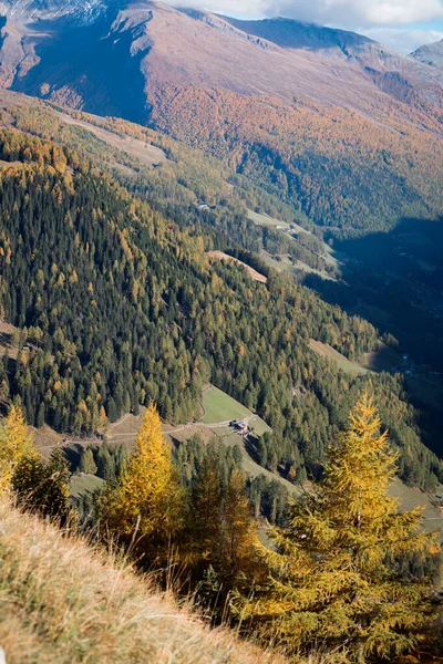 Красивый Горный Пейзаж Осенних Альпах Желтые Лиственницы Склонах Солнце — стоковое фото