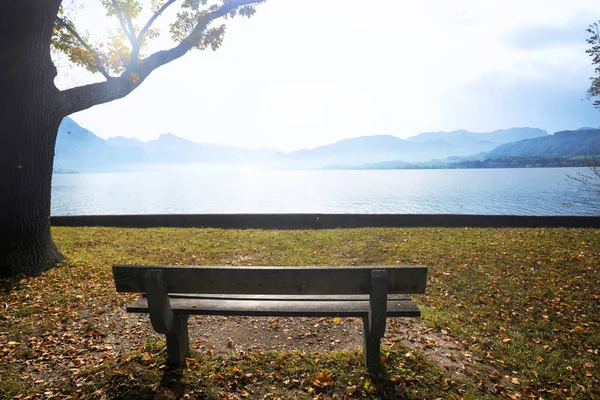 Paesaggio Con Bellissimo Lago Montagna Panchina Primo Piano Traunsee Austria — Foto Stock