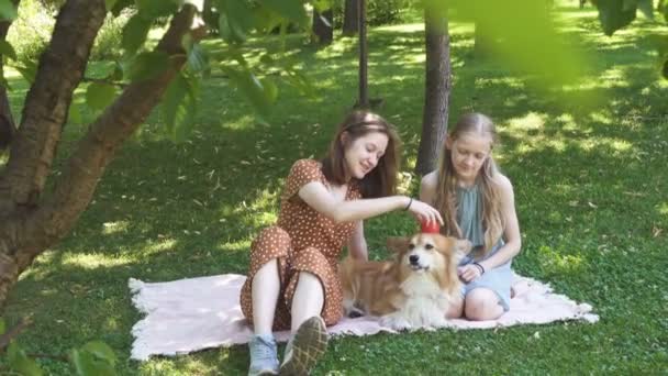 Irmãs Meninas Sentadas Gramado Parque Com Seu Cão Corgi Fofo — Vídeo de Stock