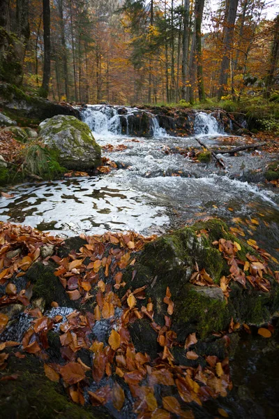 Mountain River Autumn Fores — Stock Photo, Image