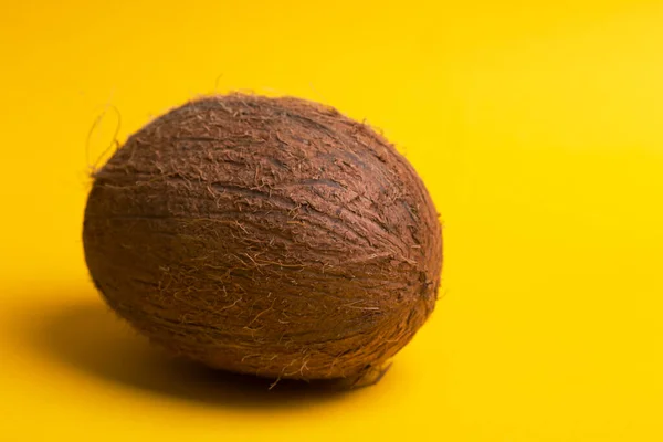 黄色の背景に大きなココナッツ 熱帯フルーツ — ストック写真
