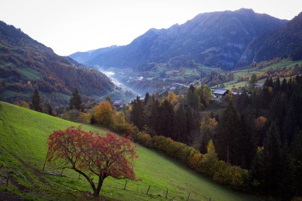 Beautiful View Valley Fog Autumn Landscape Austrian Mountain — Stock Photo, Image