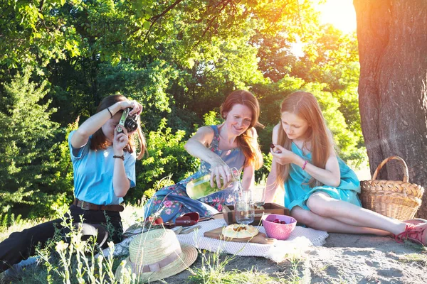 Sommer Familie Beim Picknick Auf Einer Wiese Wald — Stockfoto