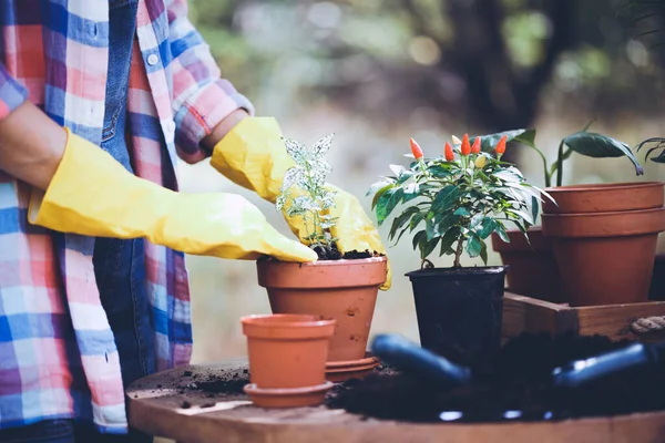 Niña Plantando Flores Jardín Macetas Plantas Para Trasplante Lifestyl — Foto de Stock