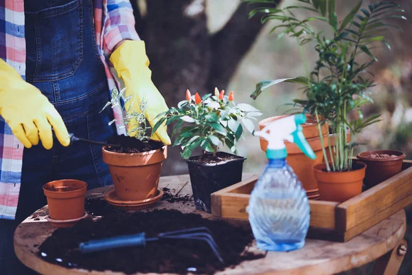 Fille Plantant Des Fleurs Dans Jardin Pots Fleurs Des Plantes — Photo