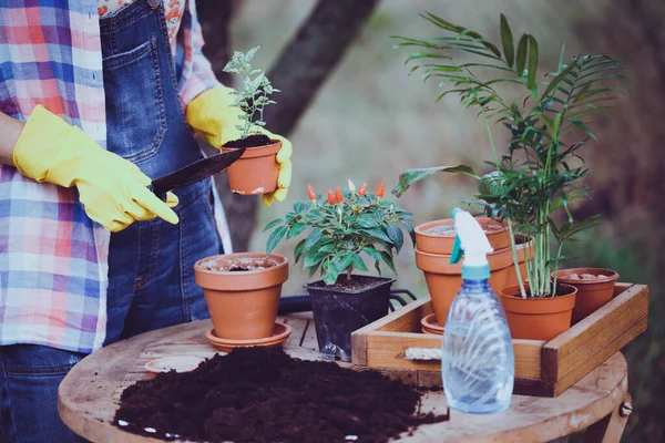 Menina Plantando Flores Jardim Vasos Flores Plantas Para Transplante Estilo — Fotografia de Stock