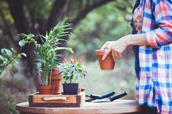 庭に花を植える少女 移植用の花器や植物です ライフステイル — ストック写真